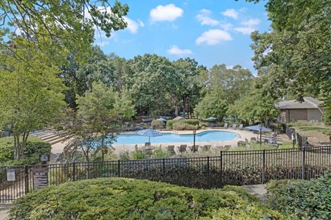 A pool surrounded by green trees and bushes.