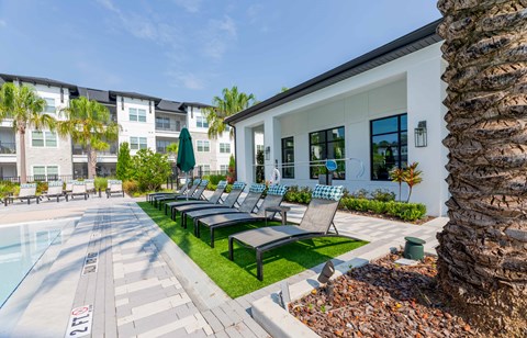 A poolside area with lounge chairs and a palm tree.