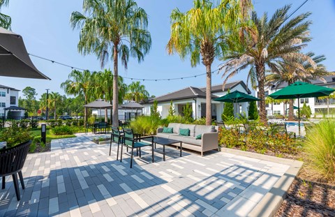 A sunny day at a park with palm trees and benches.