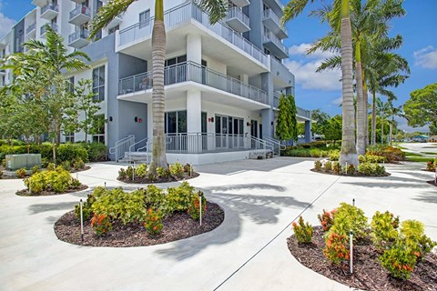 A large white building with a balcony and a palm tree in front.