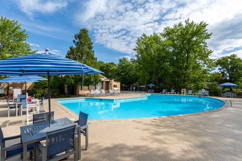 A blue pool surrounded by trees and a blue umbrella.