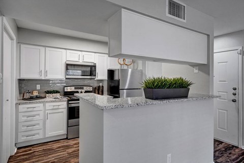 A kitchen with white cabinets and a countertop with a plant on it.