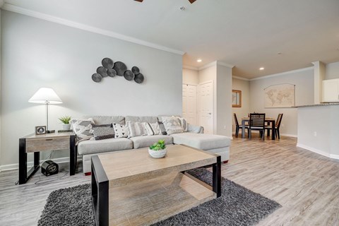 A modern living room with a grey couch, a wooden coffee table, and a lamp on a side table.