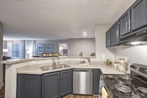 A modern kitchen with dark grey cabinets and stainless steel appliances.