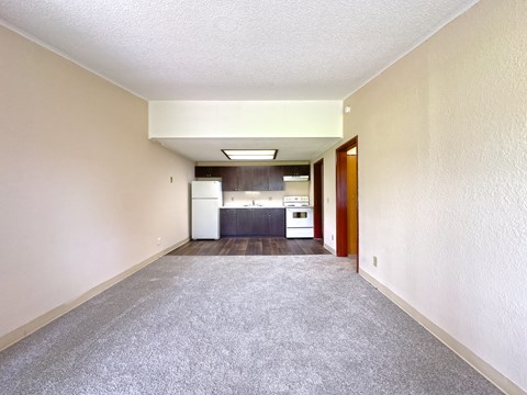 A room with a carpeted floor and a kitchen in the background.