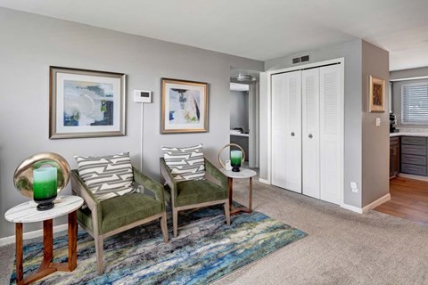 A living room with two chairs, a table, and a rug.