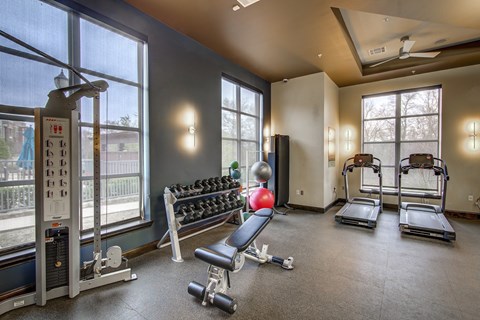 A gym with a row of treadmills and a row of dumbbells.