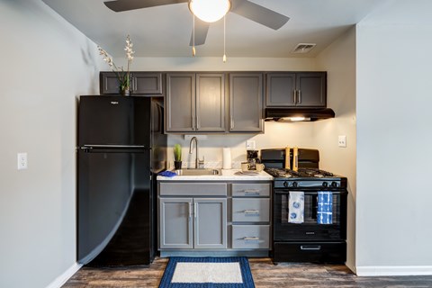 A kitchen with a black refrigerator, black oven, and black cabinets.