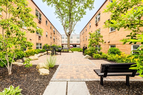 A courtyard with benches and trees surrounded by buildings.