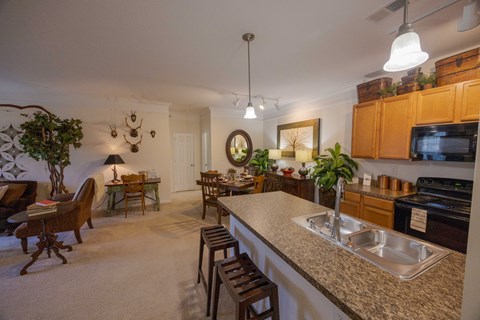 A kitchen with a counter top and a sink.
