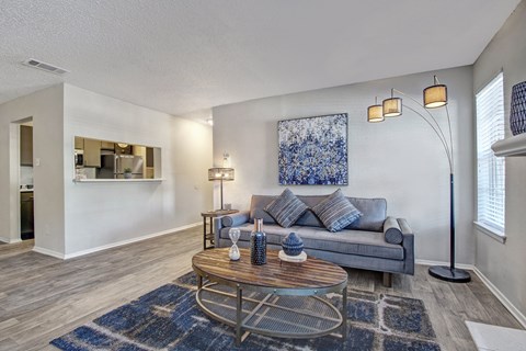 A living room with a grey couch and a blue rug.