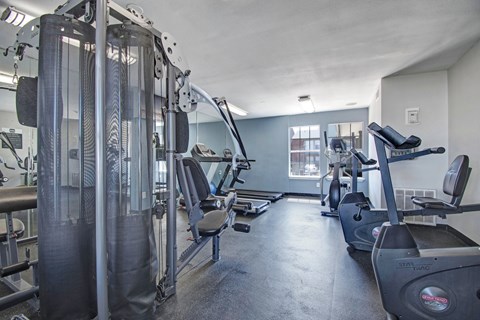 A gym with a variety of equipment including treadmills, weights, and a punching bag.