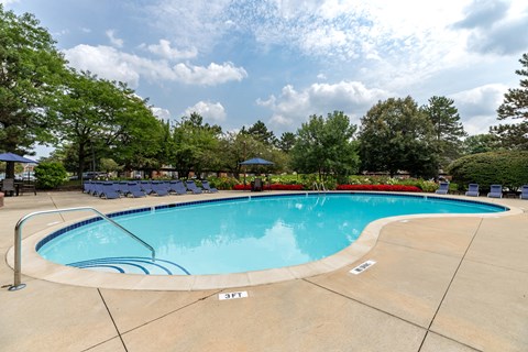 A large swimming pool surrounded by trees and a clear sky.