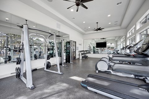 A spacious gym with treadmills, weight machines, and a television.