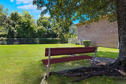 A wooden bench sits in a grassy area next to a tree.
