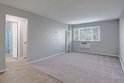 A room with a window and a carpet on the floor.