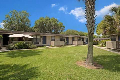 A tree stands in a grassy area in front of a building.