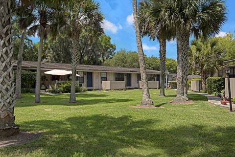 A house surrounded by palm trees and a lawn.
