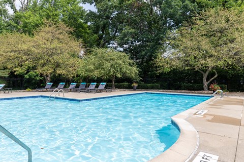 A swimming pool surrounded by trees and lounge chairs.