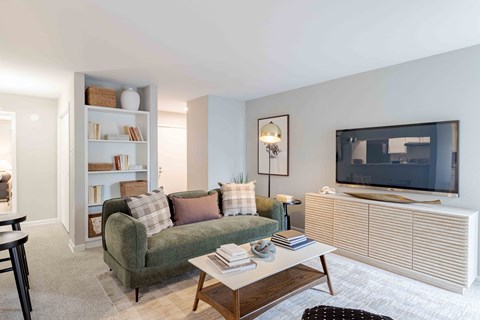 A living room with a green couch, a coffee table, and a television.