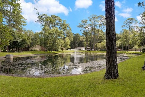 A large tree stands next to a pond in a park.