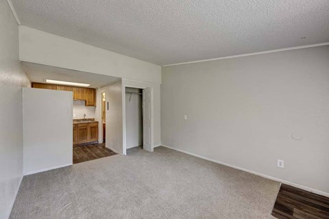 A spacious living room with a kitchen in the background.