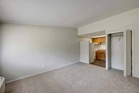 A room with a carpeted floor and a doorway leading to another room.