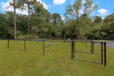 A black fence encloses a grassy area with trees in the background.