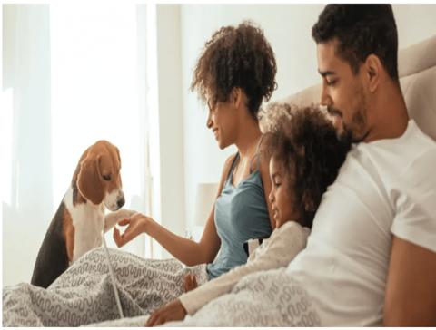 A family of three is sitting on a bed with a dog.