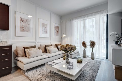A modern living room with a white sofa, a coffee table, and a rug.