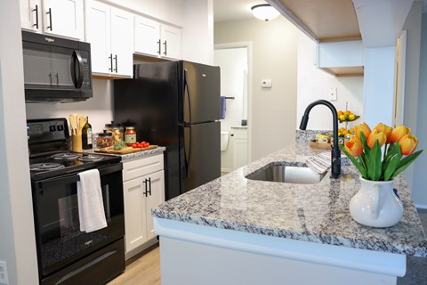 3001 Reflections Way 1-2 Beds Apartment for Rent
