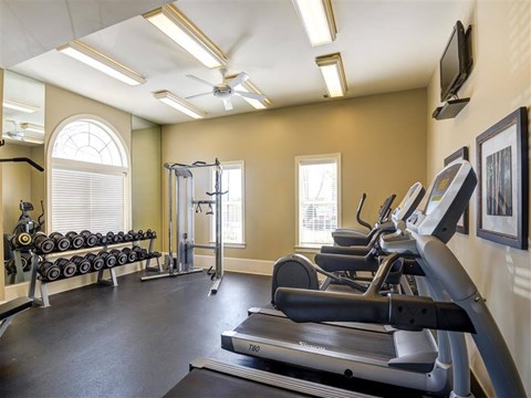A gym with treadmills, weights, and exercise equipment.