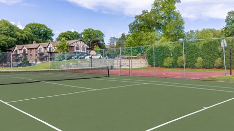 A tennis court with a net and trees in the background.