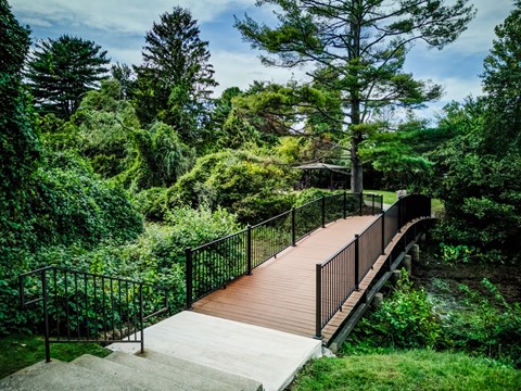 A wooden deck with a metal railing overlooks a lush green forest.