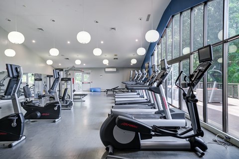 A gym with treadmills and elliptical machines.