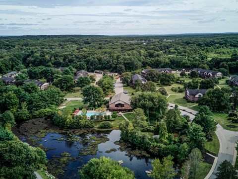A bird's eye view of a residential area with a pond and a swimming pool.