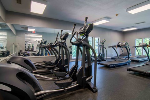 A gym with treadmills and elliptical machines.