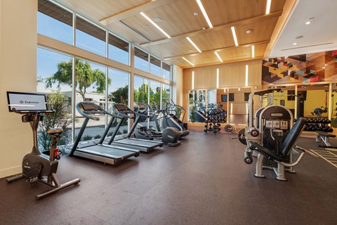 A gym with treadmills, elliptical machines, and other exercise equipment.