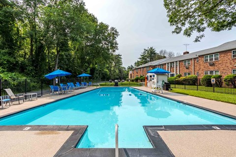 A large blue swimming pool surrounded by trees and a fence.