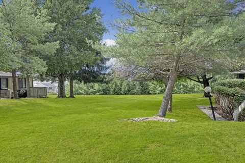 A large grassy area with trees and a house in the background.