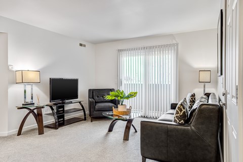 A living room with a grey couch, a black television, and a wooden coffee table.