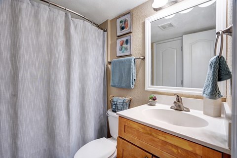A bathroom with a white toilet, a white sink, a shower curtain, a mirror, and a small plant.