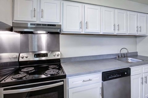 A modern kitchen with a stove and a dishwasher.