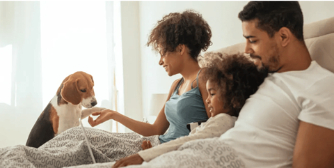 A family of three is sitting on a bed with a dog.