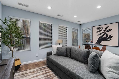 A living room with a grey couch and a tree.