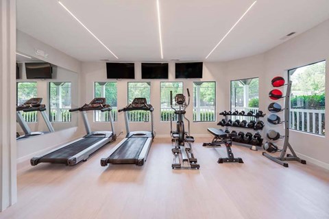 A spacious gym with treadmills, elliptical machines, and dumbbells.