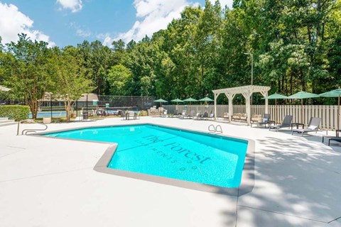A large outdoor swimming pool surrounded by trees and lounge chairs.