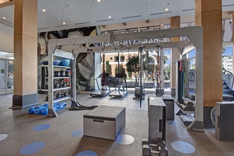 A gym with a variety of equipment including a treadmill, weights and a bench press.