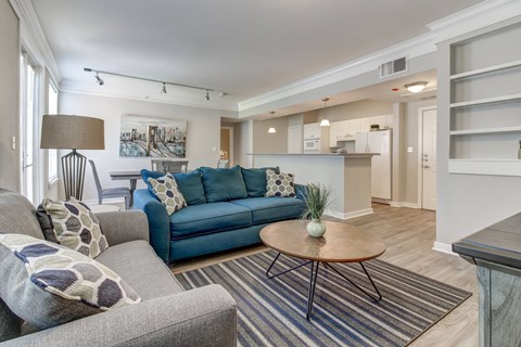 A living room with a grey couch and a blue sofa.