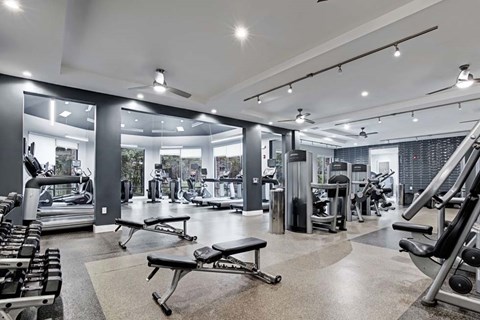 A spacious gym with a variety of equipment including treadmills, weights, and benches.